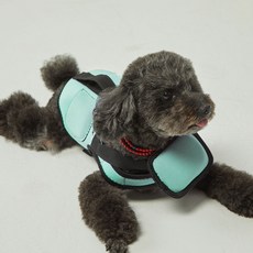 FLOW 狗狗救生衣 防曬衣, 1個, 薄荷綠