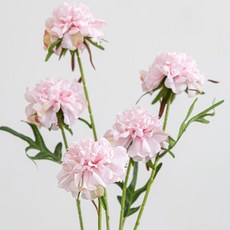 플라워트리 조화 스카비오사 솔체꽃 5송이 꽃다발 70cm, 핑크, 1개