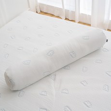 아리베베 듀라론 냉감 바디필로우, 공룡
