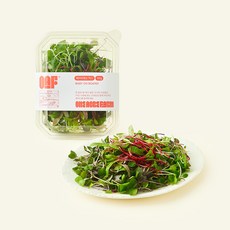 원에이커팜 무농약 인증 베이비 채소 믹스, 50g, 1개, 1개입