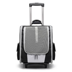 펫트롱 반려동물 스마트 캐리어, 블랙, 1개