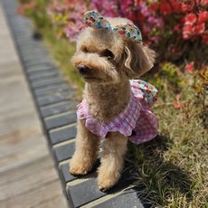 狗狗格紋蝴蝶結洋裝 + 髮夾套組, 1套, 粉紅色