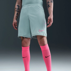 NIKE 耐吉 男款 Dri-FIT Academy 25 短褲 HJ3797-395