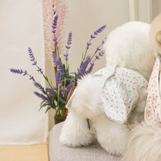 AMYLOVESPET 狗貓百褶背心水滴, 天藍色