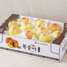 황소고을 청도 황도복숭아, 3kg(10내), 1개