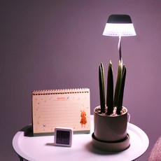 nOVA LIVING 葉綠 LED 粉紅仙女植物燈, 1個