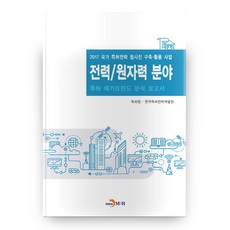 전력 원자력 분야 특허 메가트렌드 분석 보고서 2017:, 진한엠앤비