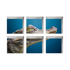 월드모먼트 미끄럼방지 욕조 스티커 6종 세트, 32, 1개