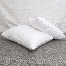Well Care枕頭芯 一般型 2入, 白色的