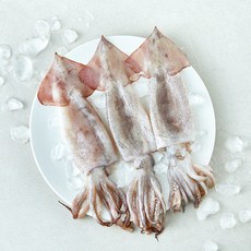 제주어가 손질 생물 오징어 (냉장), 1개, 500g(3~5미)