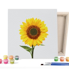 iLovePainting DIY熱門繪圖, 寶寶向日葵, 1個