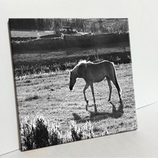 UDP 磁磚畫框 3902317