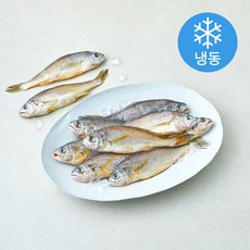 일품 법성포 이력추적 참조기 (냉동), 1개, 900g(대/10마리)