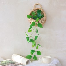 懸掛式藤編籃 + 黃金葛藤蔓人造花套組, 混色, 1套