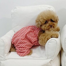 petit dog Mobill連身衣 DSA024, 紅色