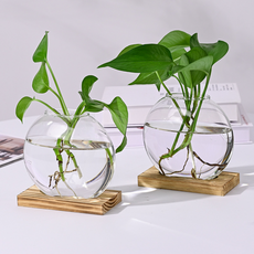 恩熙魔法 現代感性水培植物兩用花瓶 2入, 單一顏色