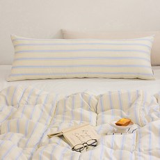 쉬즈홈 다용도 워싱 마이크로 바디필로우 솜포함, 스테이