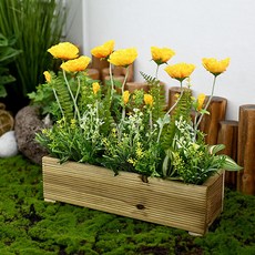 도시정원 양귀비 화단, 옐로우