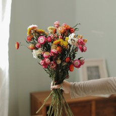 GAPANG 乾花DRYB105, 混合號 11