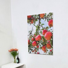 꾸밈 행운사과나무 캔버스액자 ir404