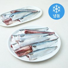 신선해어 국내산 손질 고등어 절단 구이용 (냉동), 1개, 5kg
