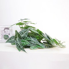 沼澤萬壽菊彩葉芋藤蔓人造花 55cm, 綠色, 1個