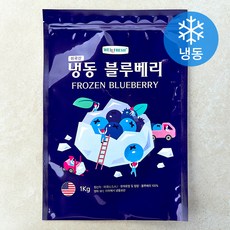 웰프레쉬 미국산 블루베리 (냉동), 1개, 1kg