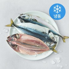 중매인신훈식 맑은소금 제주 자반고등어 대 (냉동), 1개, 750g(3미) 1개, 750g(3미)