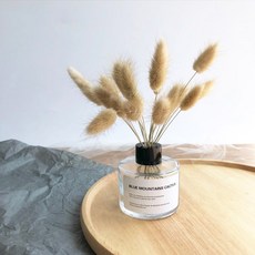 드라이플라워 07번 DRYD011 + 꽃병 세트, 브라운