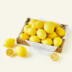제이드가든 유기농 인증 제주 레몬, 5kg, 1개