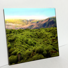 HTP 瓷磚 C557 無盡的綠色風景