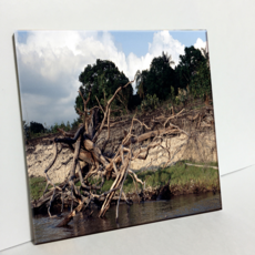 HTP 燒製磁磚 亞馬遜倒木相框 C34