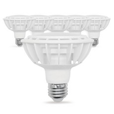 SPiANO 內建轉換器擴散型LED燈泡 PAR30 F 15W, 晝光色, 6個