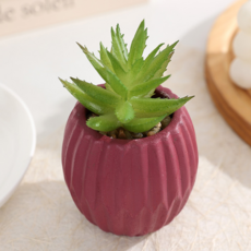 소울리치 예쁜 다육식물 조화, 화분타입5 작은 알로에, 1개