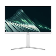 이그닉 비와이 24 일체형PC (펜티엄골드-G6405 WIN11 Pro RAM 8GB NVMe 512GB), IG-BYA23803, 기본형