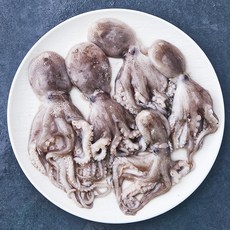 피시원 국내산 자연산 주꾸미 (해동 냉장), 500g(3~8미), 1박스