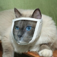 DING DONG PET 貓用簡易防咬透明頭套 S, 1個, 白色