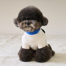 BENNYS 狗狗惡作劇短版T恤, 象牙白, 1個