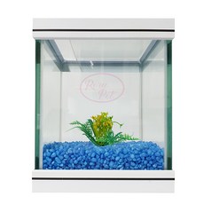 로라펫 15큐브 어항 형광스톤세트, 형광 파랑, 1개