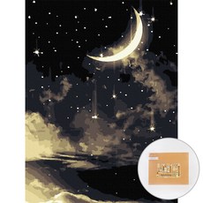 ARTJOY DIY數字油畫 - 夜空, 1個