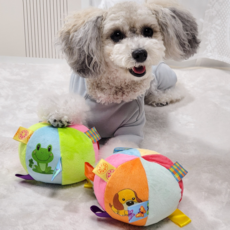 Petca 狗狗迷你拉扯球狗標籤玩具 2件組, 小狗+青蛙, 1組