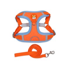 HOME RIMIUM 威爾斯柯基犬 臘腸犬專用 胸背帶 XL + 牽繩組, 1套, 橘色
