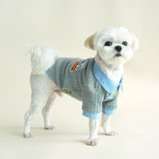 PEANUTS 狗狗 Parisdog 復古針織衫, 灰色, 1個