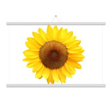 마벨인홈 우드족자 + 머니플라워I 포스터 + 꼭꼬핀 세트, 화이트, 1개