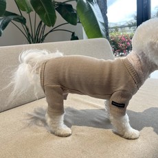 매그독 강아지 뉴데일리 올인원, 베이지, 1개
