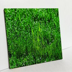 UDP 瓷磚相框 A型 3886829, 單色