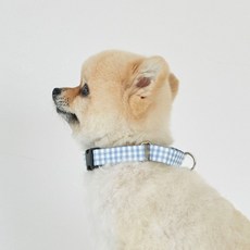 베럴즈 반려동물 마틴게일 목줄, 체크블루, 1개