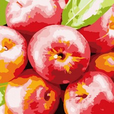 Playerbout 傑作繪畫 DIY 套裝紅蘋果 Pippo 繪畫 20 x 20 厘米, 混色