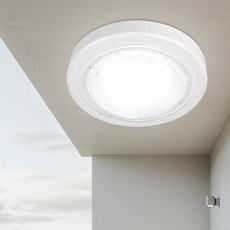 원하 EL 아크릴 원형 직부등 플리커프리 LED15W, 화이트 + 주광색, 1개