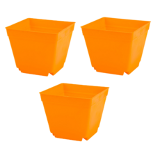 오늘도양 플라스틱 모종 화분 3p, 오렌지